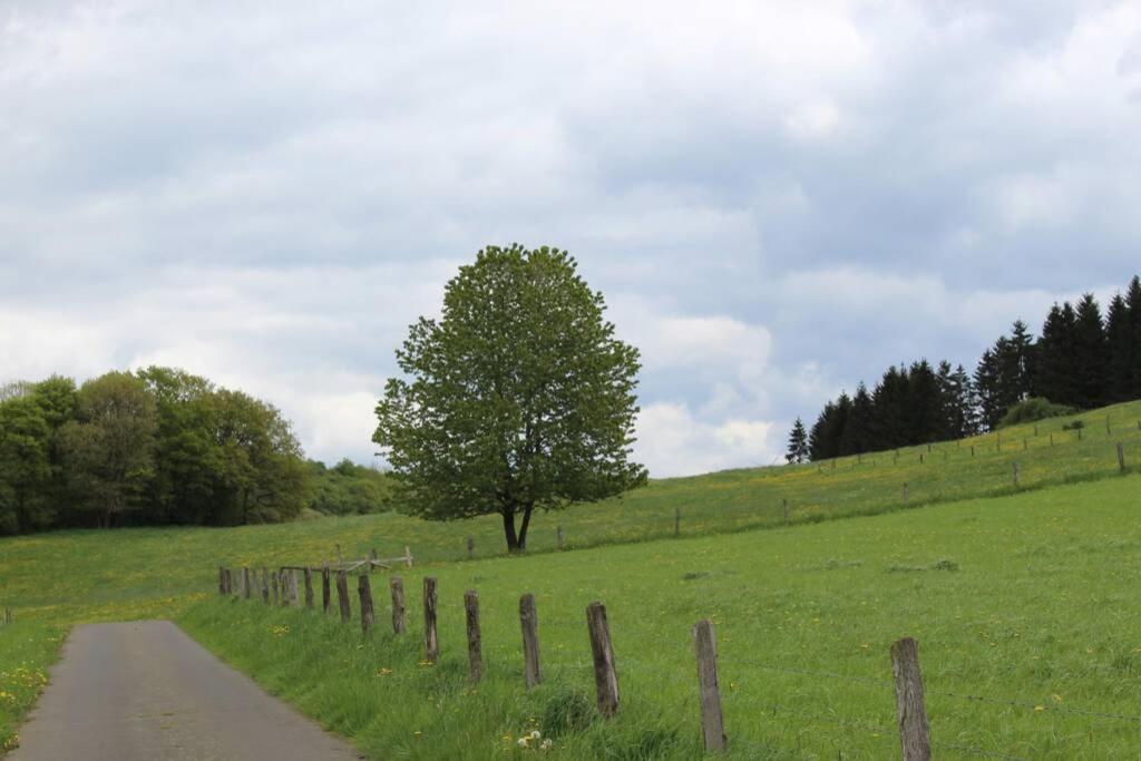 Eifelhaus Landluft Mit Infrarotkabine Apartment Berlingen